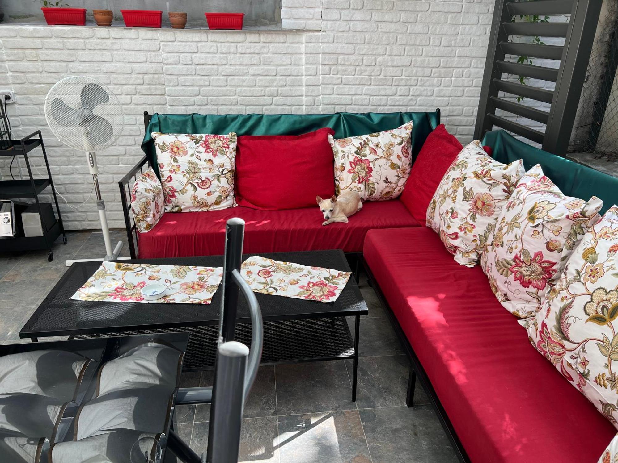 A Lovely 2 Bedroom Apartment In The Heart Of 索菲亞 外观 照片